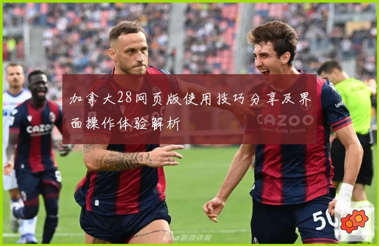 加拿大28网页版使用技巧分享及界面操作体验解析