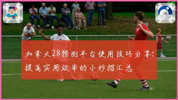 加拿大28预测平台使用技巧分享：提高实用效率的小妙招汇总