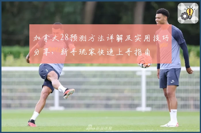 加拿大28预测方法详解及实用技巧分享，新手玩家快速上手指南