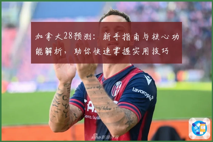 加拿大28预测：新手指南与核心功能解析，助你快速掌握实用技巧