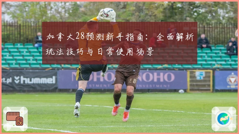 加拿大28预测新手指南：全面解析玩法技巧与日常使用场景