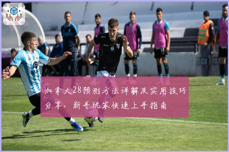 加拿大28预测方法详解及实用技巧分享，新手玩家快速上手指南