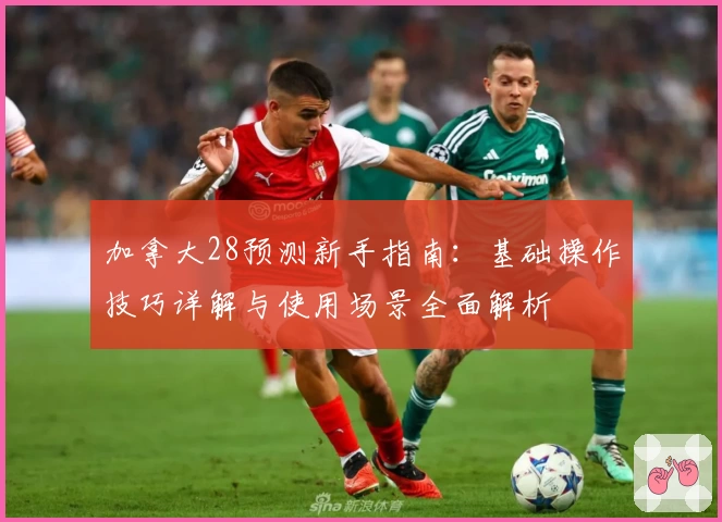 加拿大28预测新手指南：基础操作技巧详解与使用场景全面解析