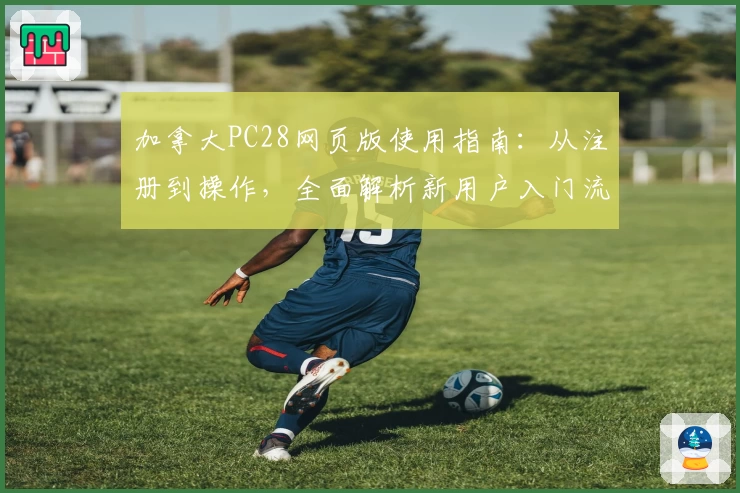 加拿大PC28网页版使用指南：从注册到操作，全面解析新用户入门流程